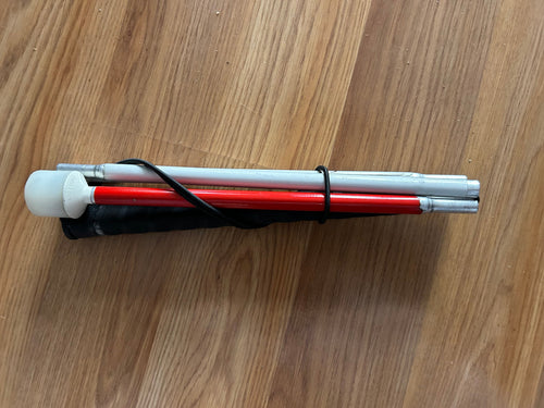 Mobility cane